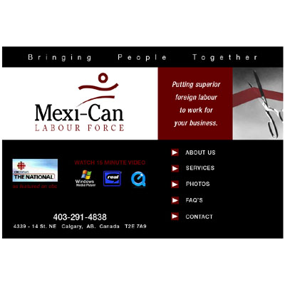 Goto Website in New Browser Window